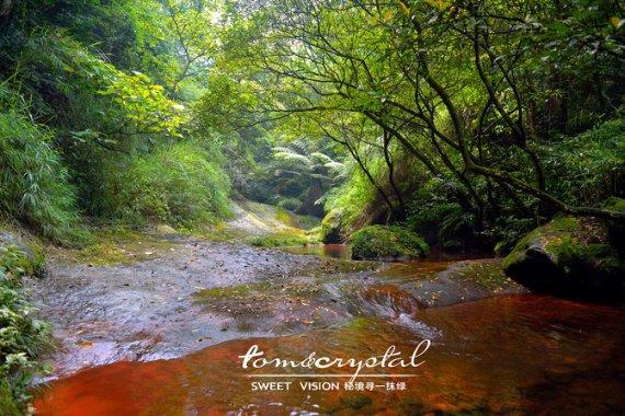未知岛屿